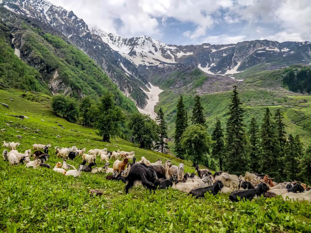 Bunbuni Pass Trek